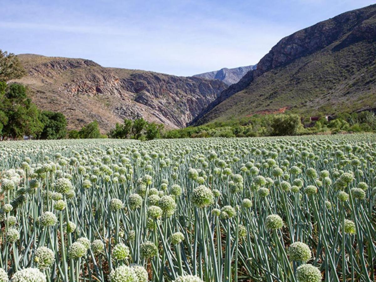 Varkenskraal Farm De Rust ภายนอก รูปภาพ